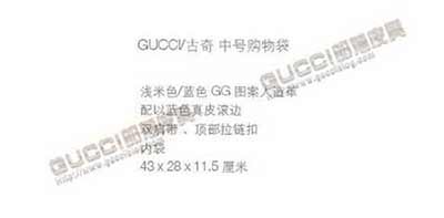 gucci經(jīng)典款包 古奇女包 單肩包 手提包 211137藍(lán)