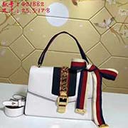 gucci古馳GUCCI新款 新女包哈密